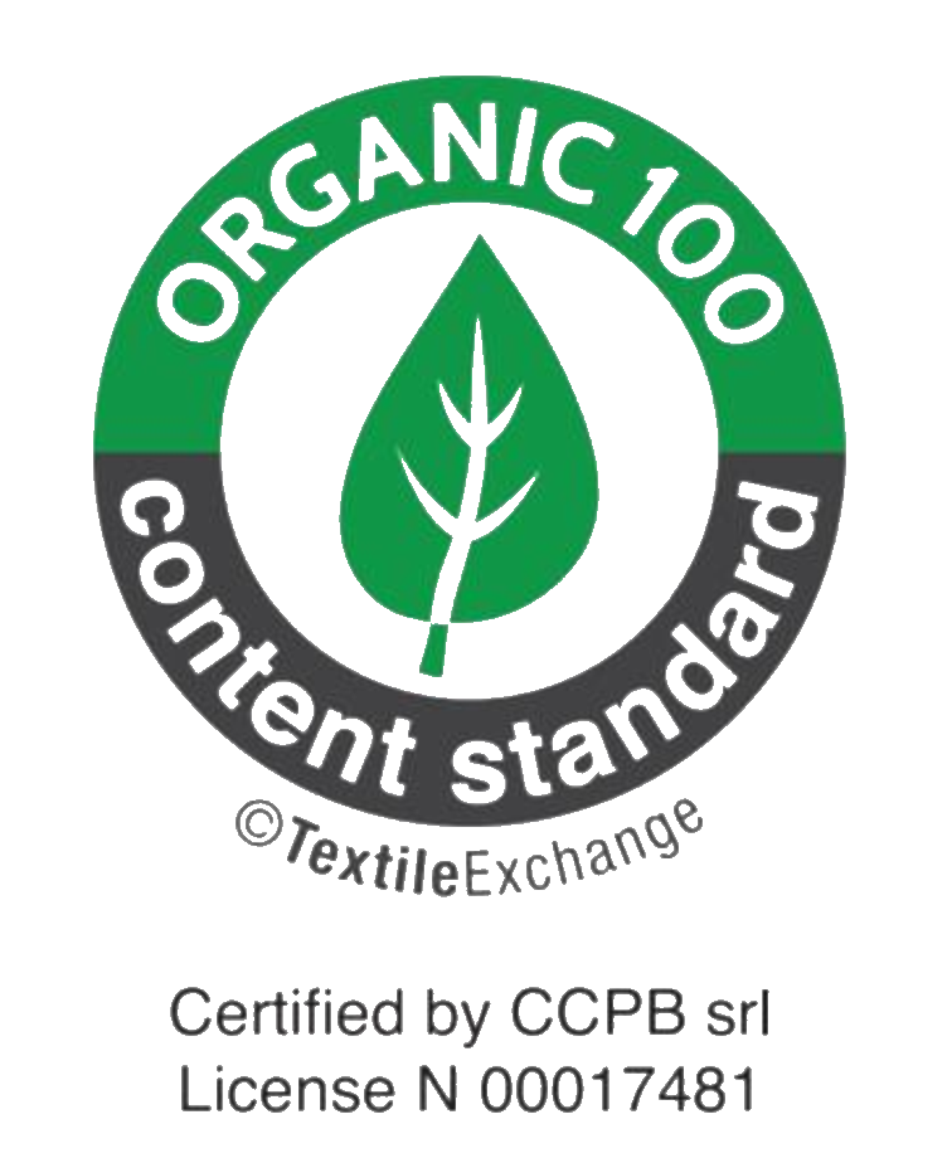 Certificiazione DBT Fibre